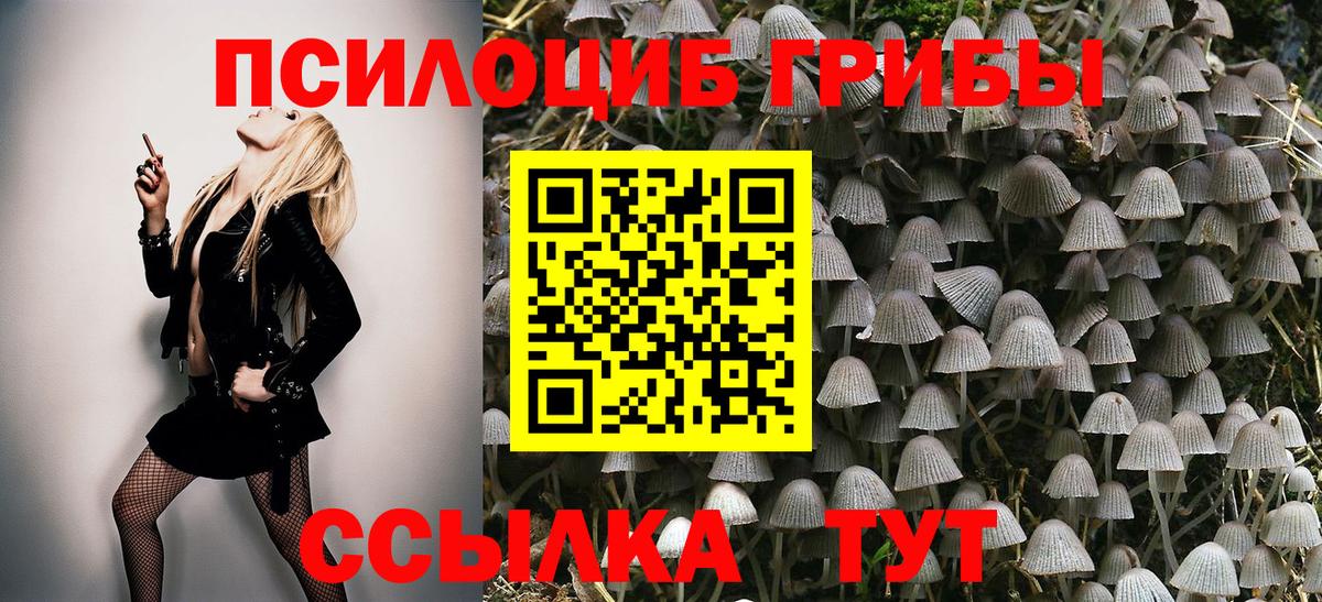 Кокаин  Гашиш  Бошки Шишки  Вход с VPN  Дзержинский  МЕФ  